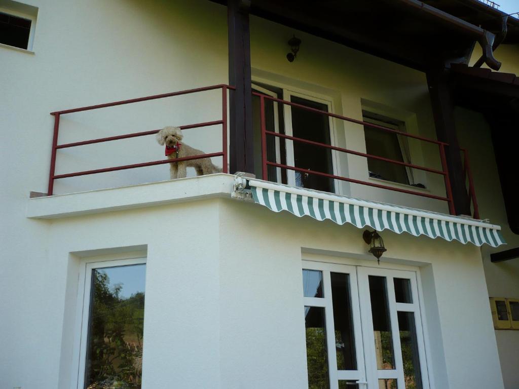 Pension Piatra Craiului Moieciu de Jos Exterior foto