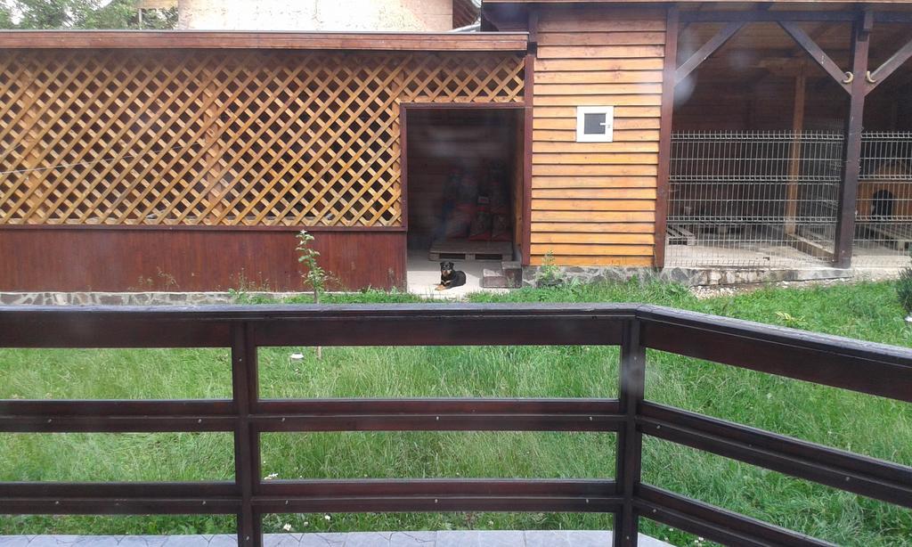 Pension Piatra Craiului Moieciu de Jos Exterior foto