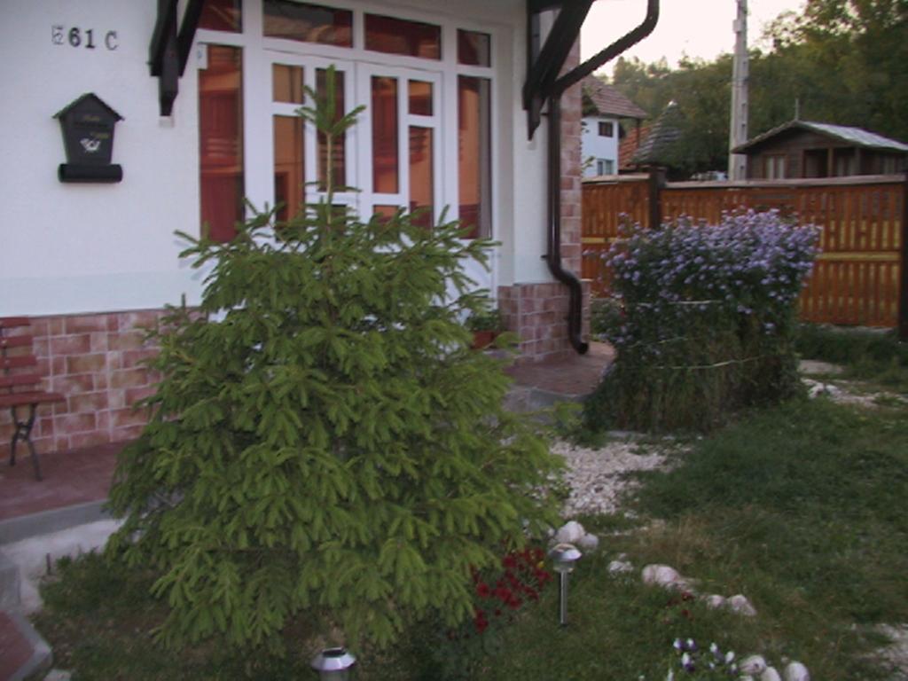 Pension Piatra Craiului Moieciu de Jos Exterior foto